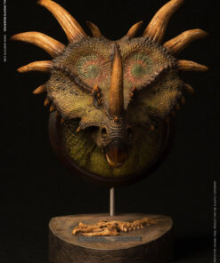 Alternative view of Styracosaurus Bust by Damtoys