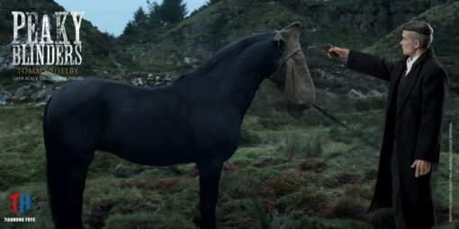 Peaky Blinder - Tommy Shelby Standard Edition 1/6 Scale Figure (horse not included) - Image 7
