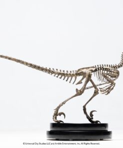 Velociraptor Skeleton Bronze 1:8 Scale Statue By Cinemaquette