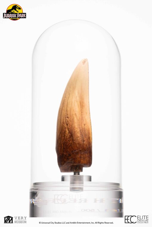 ELITE CREATURE COLLECTIBLE PRESENTS: Screen Used T-Rex Tooth Reproduction - Image 3