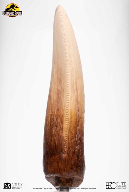 ELITE CREATURE COLLECTIBLE PRESENTS: Screen Used T-Rex Tooth Reproduction - Image 6