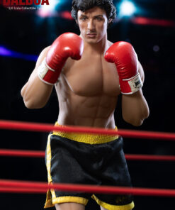 Rocky Balboa (Boxer Version) Deluxe Sixth Scale Figure - Star Ace Toys LTD - Image 7