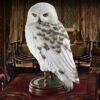 Hedwig - Noble Collection