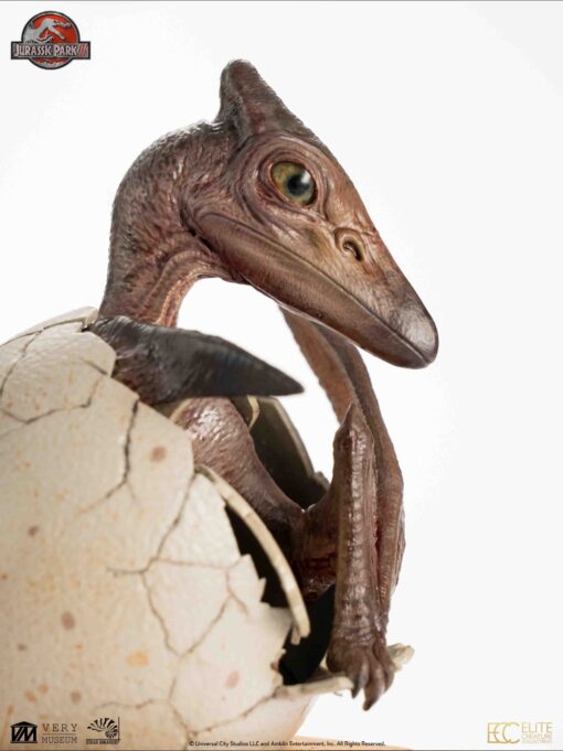 ELITE CREATURE COLLECTIBLES PRESENTS: Jurassic Park Hatching Pterosaur - Image 6