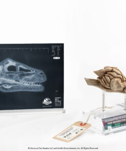 ELITE CREATURE COLLECTIBLES PRESENTS: Jurassic Park III Velociraptor Resonance Chamber