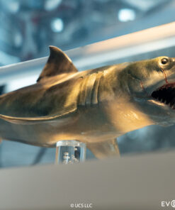 ELITE CREATURE COLLECTIBLES PRESENTS: Jaws Bronze 1/18 Scale Statue - Image 10