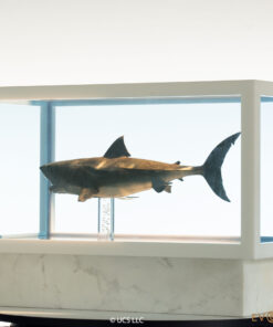 ELITE CREATURE COLLECTIBLES PRESENTS: Jaws Bronze 1/18 Scale Statue - Image 7