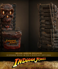 Indiana Jones (Deluxe Version) Sixth Scale Figure - Hot Toys - Image 3