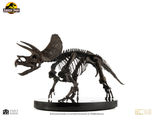 ELITE CREATURE COLLECTIBLES PRESENTS: Triceratops Fossil Skeleton – 1:12 Scale Bronze - Image 13