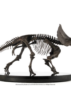 ELITE CREATURE COLLECTIBLES PRESENTS: Triceratops Fossil Skeleton – 1:12 Scale Bronze - Image 8