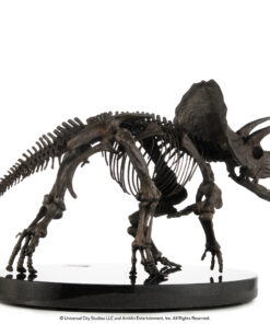ELITE CREATURE COLLECTIBLES PRESENTS: Triceratops Fossil Skeleton – 1:12 Scale Bronze - Image 9