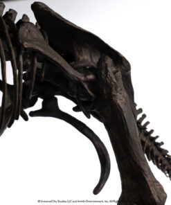 ELITE CREATURE COLLECTIBLES PRESENTS: Triceratops Fossil Skeleton – 1:12 Scale Bronze - Image 4