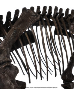 ELITE CREATURE COLLECTIBLES PRESENTS: Triceratops Fossil Skeleton – 1:12 Scale Bronze - Image 6