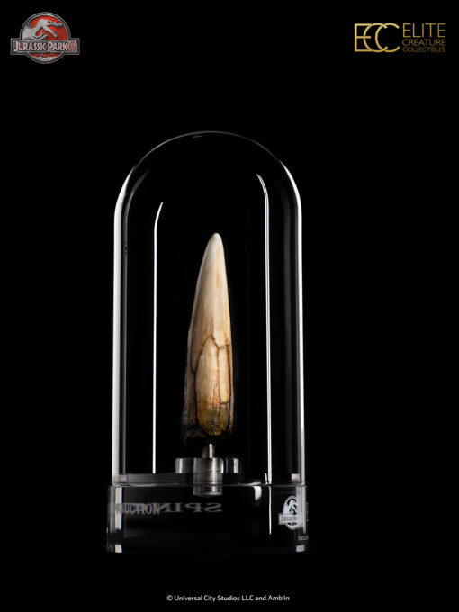ELITE CREATURE COLLECTIBLES PRESENTS: Jurassic Park III – Spinosaurus Tooth Prop Reproduction - Image 9