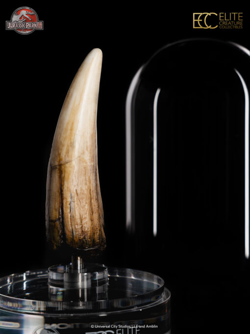 ELITE CREATURE COLLECTIBLES PRESENTS: Jurassic Park III – Spinosaurus Tooth Prop Reproduction - Image 5
