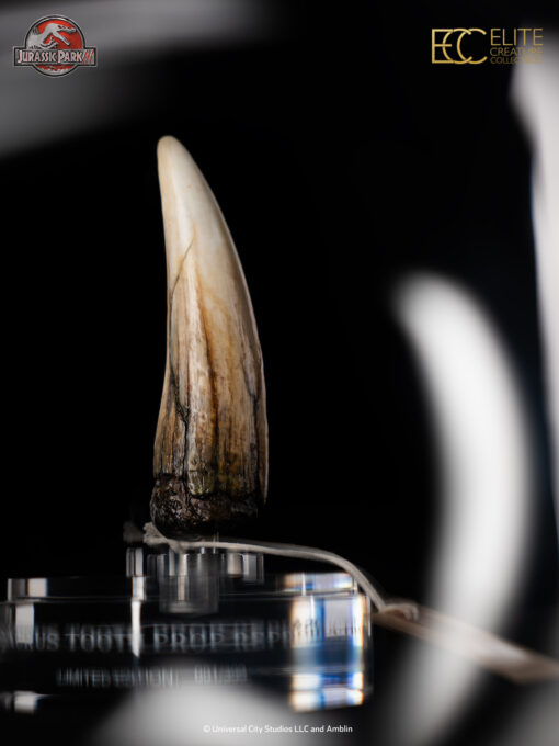 ELITE CREATURE COLLECTIBLES PRESENTS: Jurassic Park III – Spinosaurus Tooth Prop Reproduction - Image 7