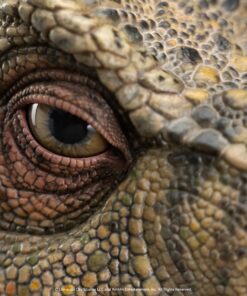 ELITE CREATURE COLLECTIBLES PRESENTS: Jurassic Park 2 Junior T-Rex Bust Prop Reproduction - Image 9